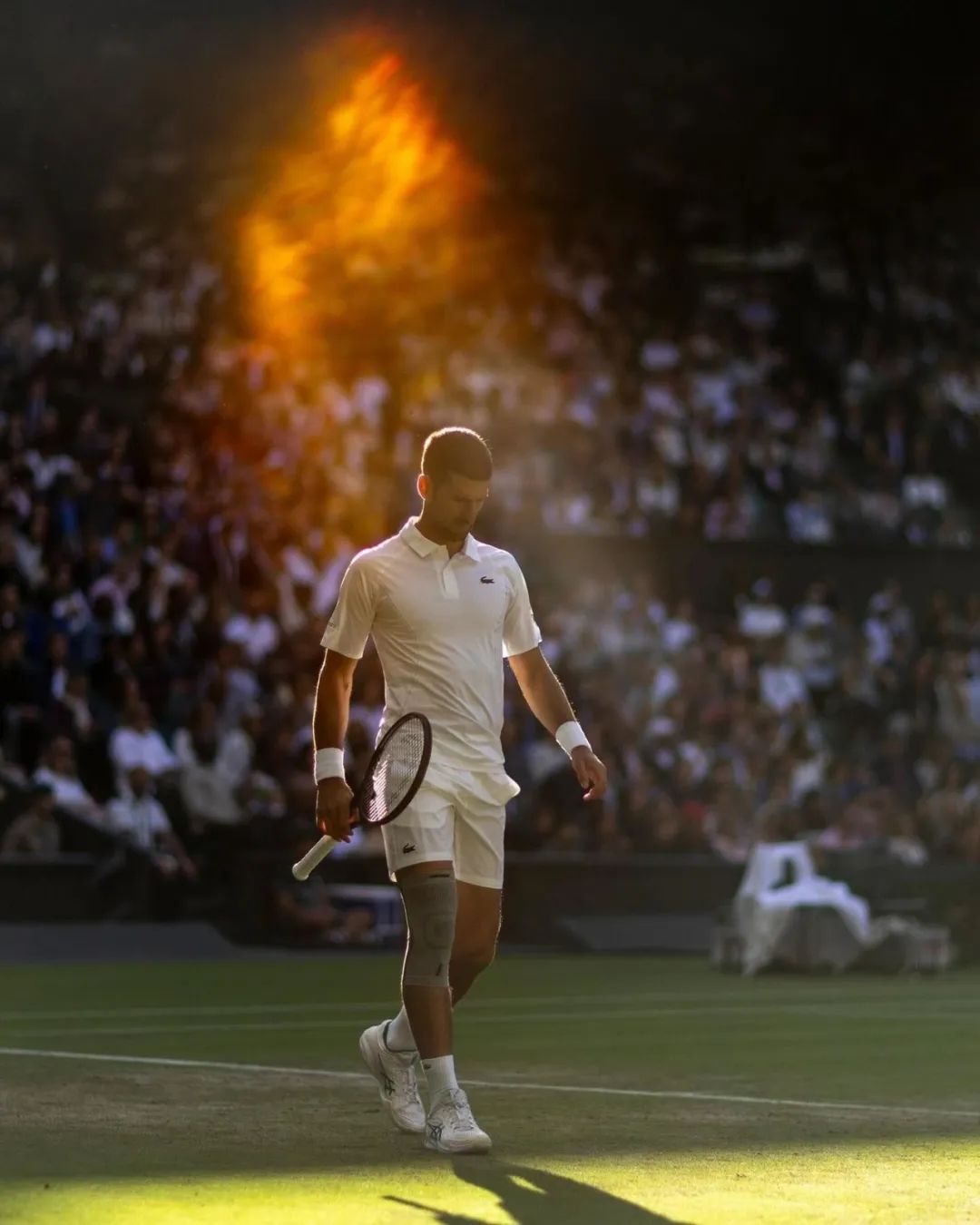 网坛巨星 Novak Djokovic，白袜的体育生以其独特的魅力