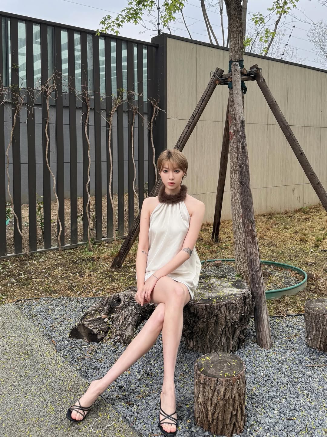 精致丝缎羽领裙，演绎摩登优雅魅力