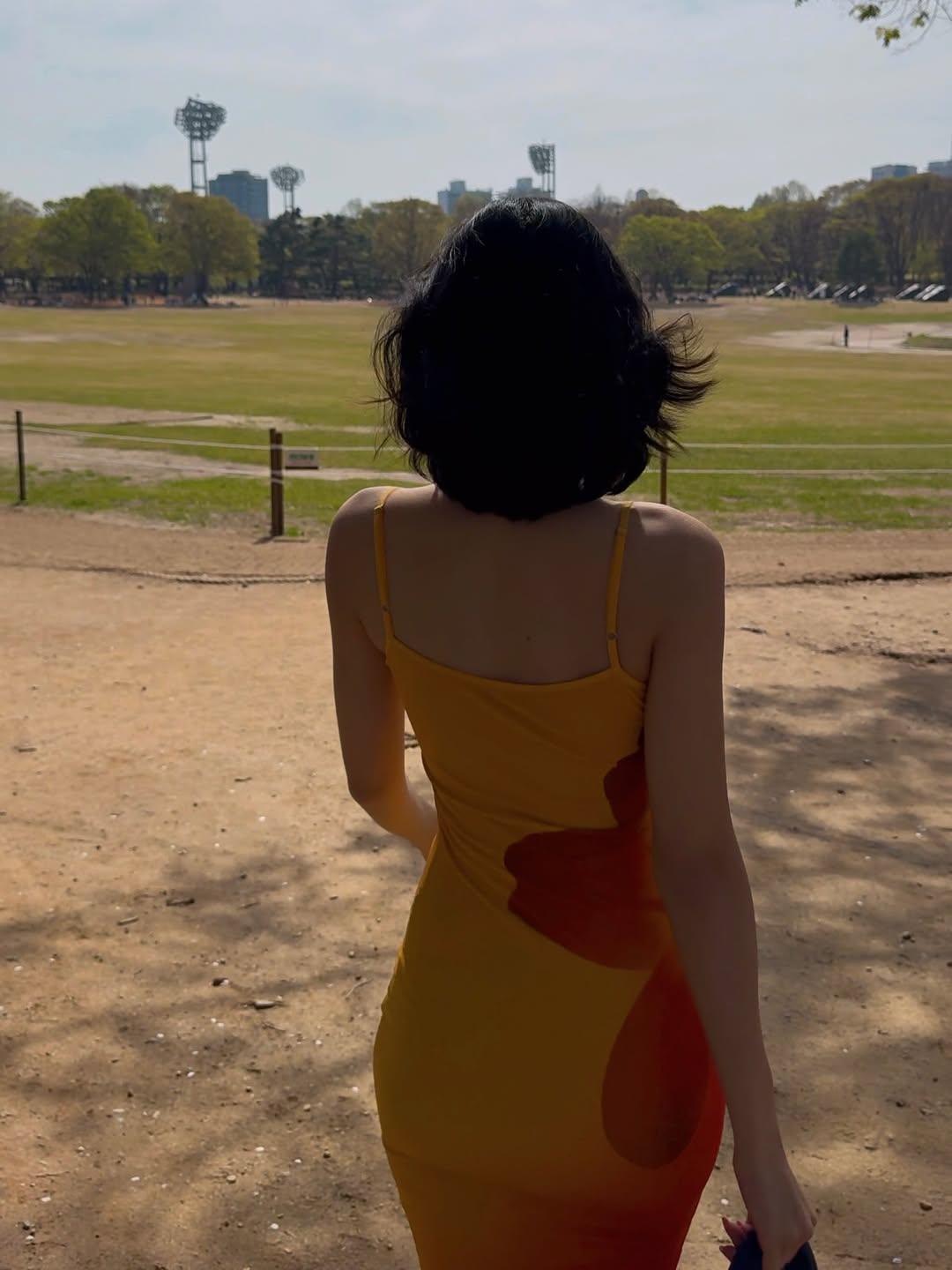 夏日向日葵的告白