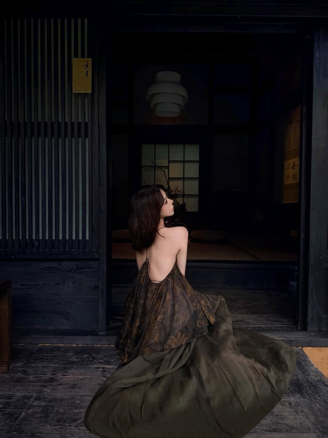 枯墨染裙入画来